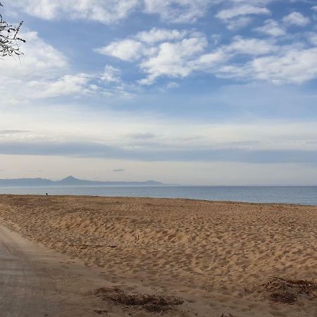 Assagador Del Palmar, 1 Dormitorio, Playa A 50M, By BookinДения Экстерьер фото